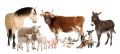 Rolnictwo-Galvet /preparaty mlekozastępcze/owce
